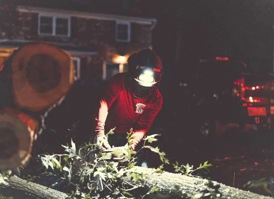 storm damage cleanup crew removing fallen tree branches