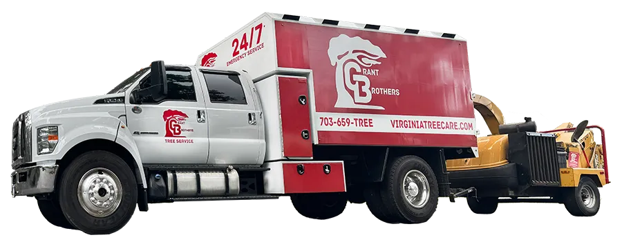 grant brothers truck transparency