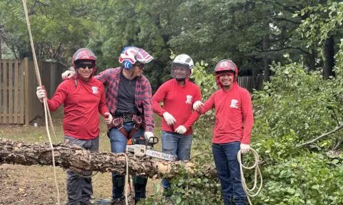 best stump grinding in mclean va hero