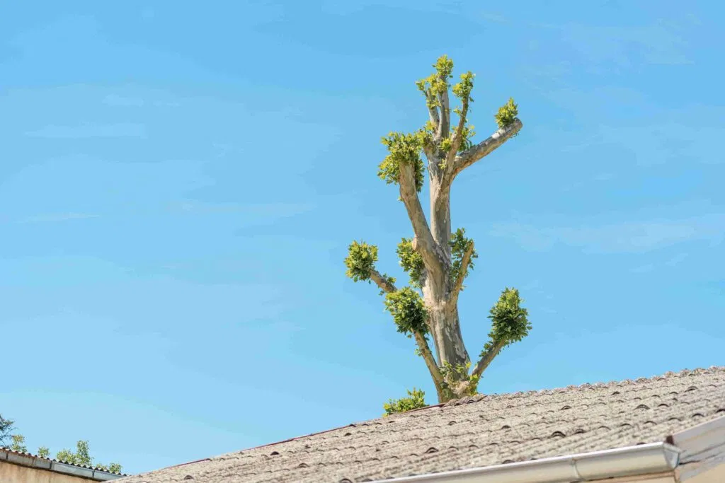 how much roof line clearance is usually required