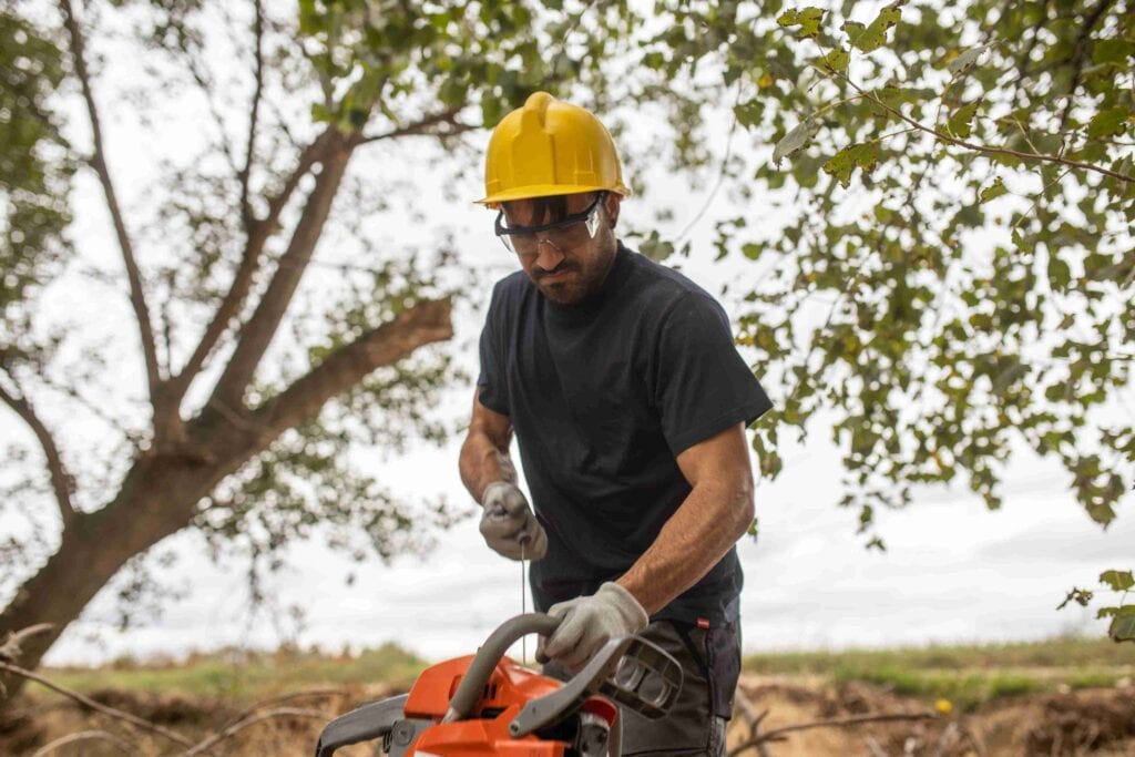 remove sumac trees